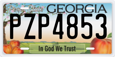 GA license plate PZP4853