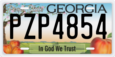 GA license plate PZP4854