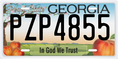 GA license plate PZP4855