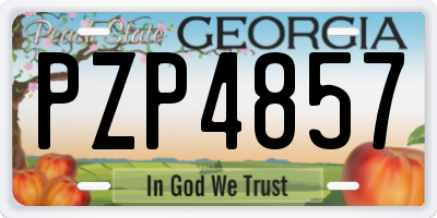 GA license plate PZP4857