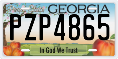 GA license plate PZP4865