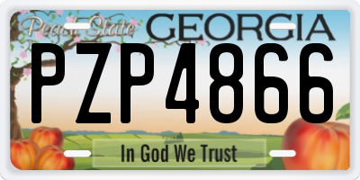 GA license plate PZP4866