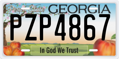 GA license plate PZP4867