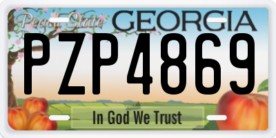 GA license plate PZP4869