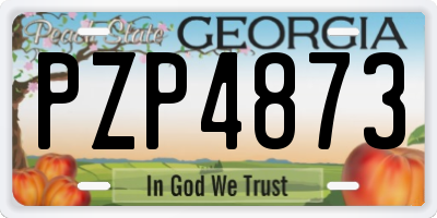 GA license plate PZP4873