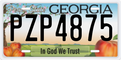 GA license plate PZP4875