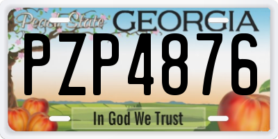 GA license plate PZP4876