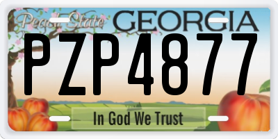 GA license plate PZP4877