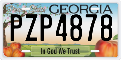 GA license plate PZP4878