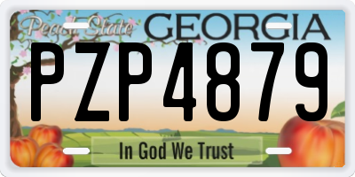 GA license plate PZP4879