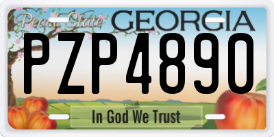 GA license plate PZP4890