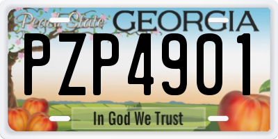 GA license plate PZP4901