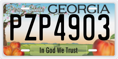 GA license plate PZP4903
