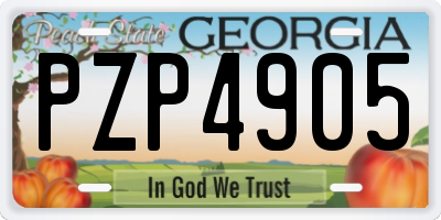GA license plate PZP4905