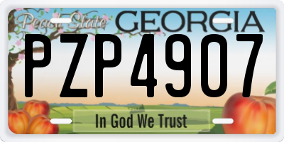 GA license plate PZP4907