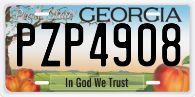 GA license plate PZP4908