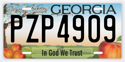 GA license plate PZP4909