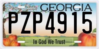 GA license plate PZP4915