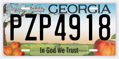 GA license plate PZP4918