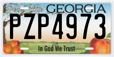 GA license plate PZP4973