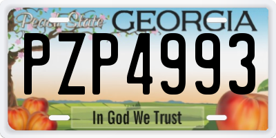 GA license plate PZP4993