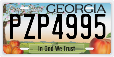 GA license plate PZP4995