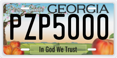 GA license plate PZP5000