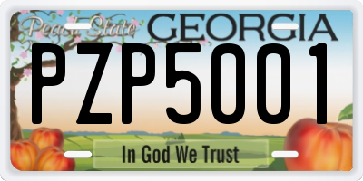 GA license plate PZP5001
