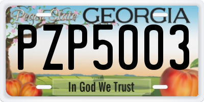 GA license plate PZP5003