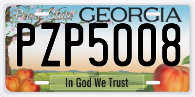 GA license plate PZP5008
