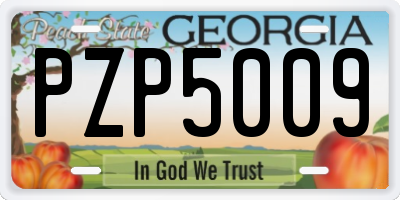 GA license plate PZP5009