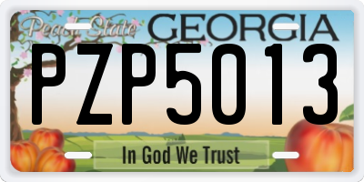 GA license plate PZP5013