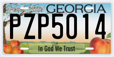 GA license plate PZP5014