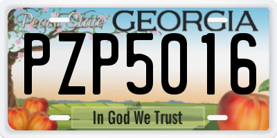 GA license plate PZP5016