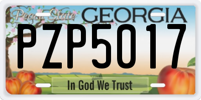 GA license plate PZP5017