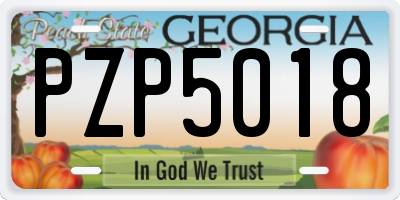 GA license plate PZP5018
