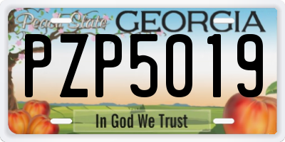 GA license plate PZP5019