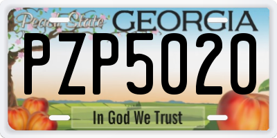 GA license plate PZP5020