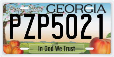 GA license plate PZP5021