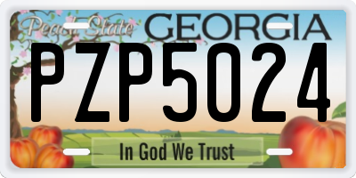 GA license plate PZP5024