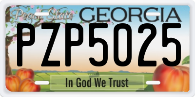 GA license plate PZP5025