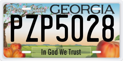 GA license plate PZP5028