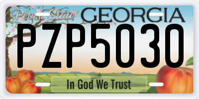 GA license plate PZP5030