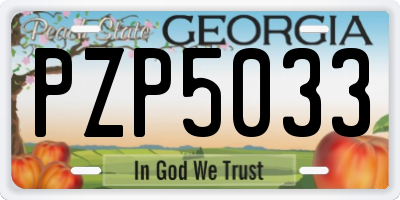 GA license plate PZP5033