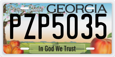 GA license plate PZP5035