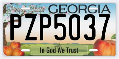 GA license plate PZP5037