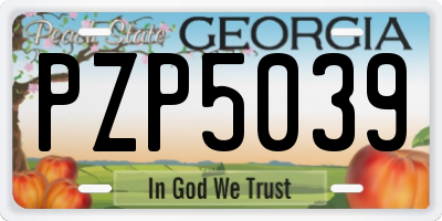 GA license plate PZP5039