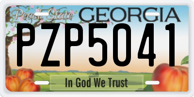 GA license plate PZP5041