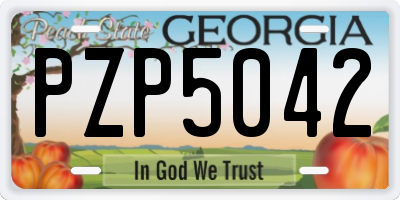 GA license plate PZP5042