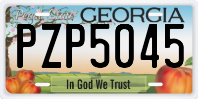 GA license plate PZP5045